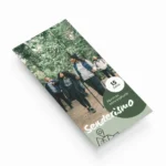 flyer personalizado tamaño DL